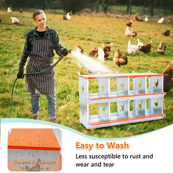 English Elm 8-bay Galvanized Steel Wall Mount Nesting Box for Backyard Hens with Vented Design W1422P355411