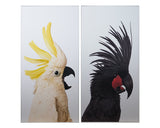 Birds Of A Feather Wall Art - Set of 2