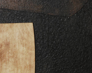 Sunpan Rustic Nuance II Abstract Wood Grain Framed Wall Art for Modern Transitional Interiors A0443