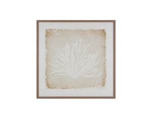 Sunpan Aquatic Flora Botanical Silhouette Wall Art in Pine Frame for Modern Living Spaces Aquatic Flora I A0444