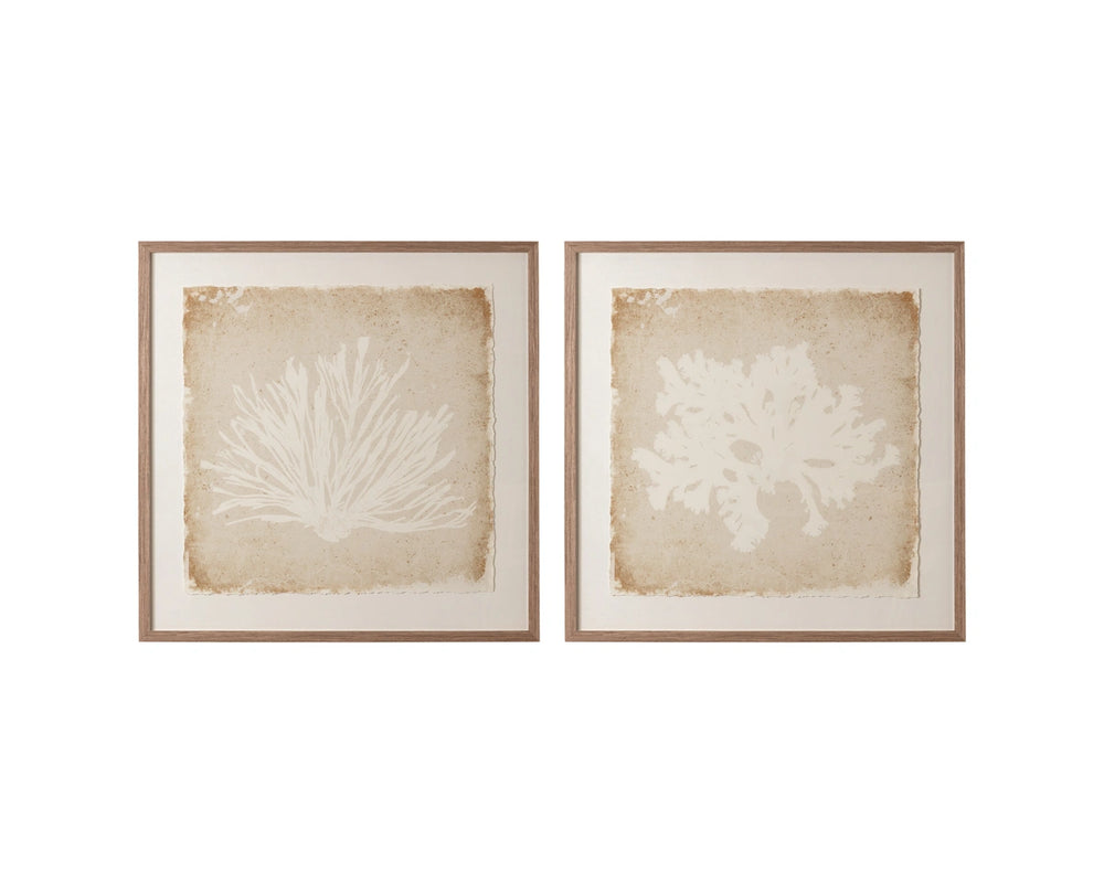 Sunpan Aquatic Flora Botanical Silhouette Wall Art in Pine Frame for Modern Living Spaces Aquatic Flora I A0444