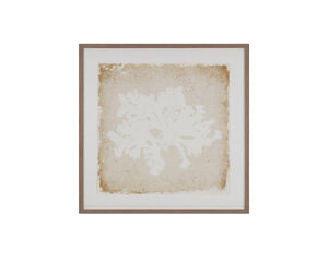 Sunpan Aquatic Flora Botanical Silhouette Wall Art in Pine Frame for Modern Living Spaces Aquatic Flora II A0445