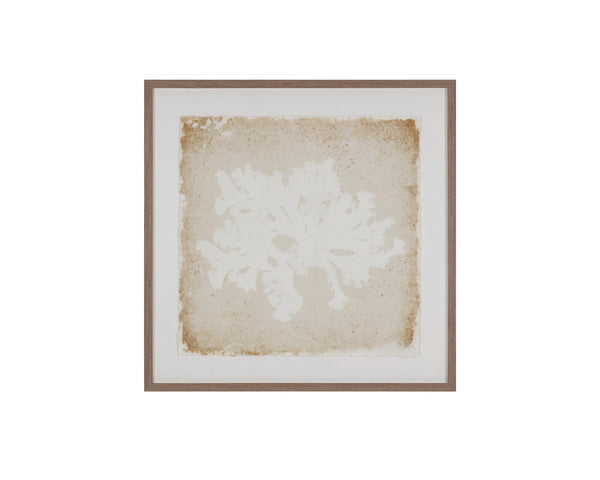 Sunpan Aquatic Flora Botanical Silhouette Wall Art in Pine Frame for Modern Living Spaces Aquatic Flora II A0445