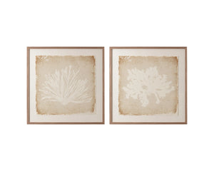 Sunpan Aquatic Flora Botanical Silhouette Wall Art in Pine Frame for Modern Living Spaces Aquatic Flora II A0445