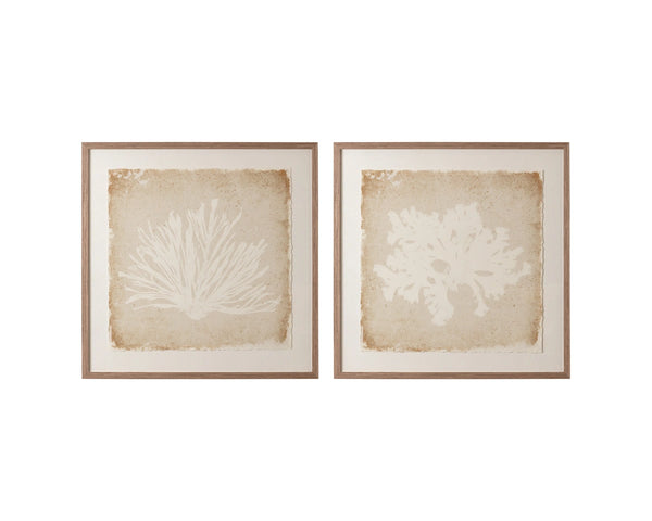 Sunpan Aquatic Flora Botanical Silhouette Wall Art in Pine Frame for Modern Living Spaces Aquatic Flora II A0445