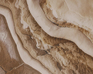 Sunpan Access Route Large Format Wall Art with Pine Floater Frame in Earthy Organic Tones A0446