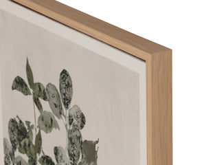 Sunpan Botanical Linen Print Wall Art with Natural Floater Frame for Living or Bedroom Decor Botanical Study I A0452