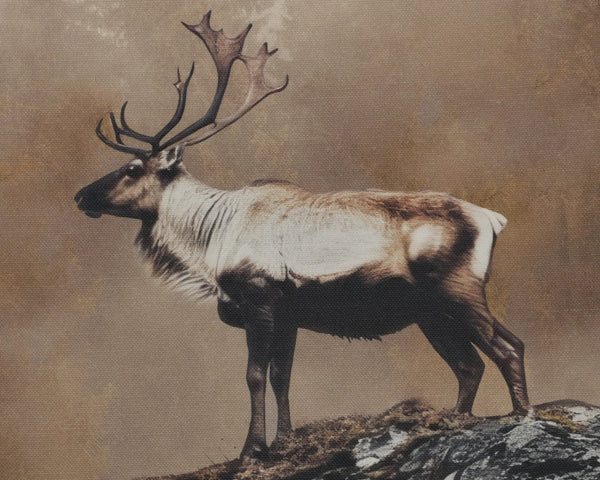 Sunpan Into the Wild Misty Deer Linen Canvas Fine Art Print with Woodgrain Floater Frame Into The Wild I A0457
