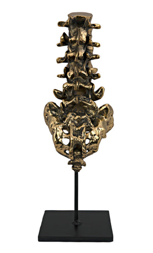 Noir Vertebrae, Sculptural Brass and Iron Accent for Modern Decor - Anatomical Artistry for Any Space AB-157BR