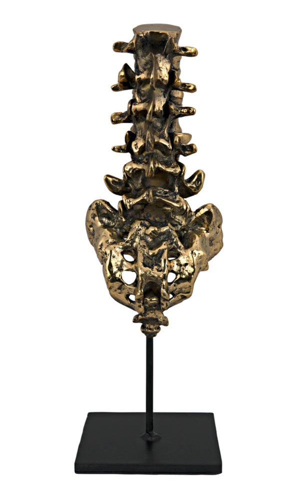 Noir Vertebrae, Sculptural Brass and Iron Accent for Modern Decor - Anatomical Artistry for Any Space AB-157BR