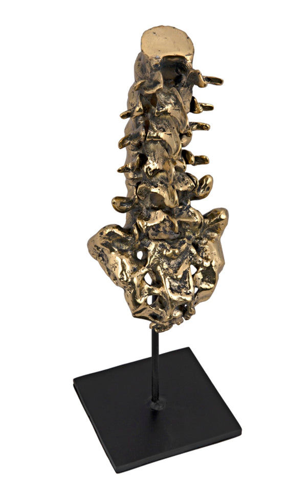 Noir Vertebrae, Sculptural Brass and Iron Accent for Modern Decor - Anatomical Artistry for Any Space AB-157BR