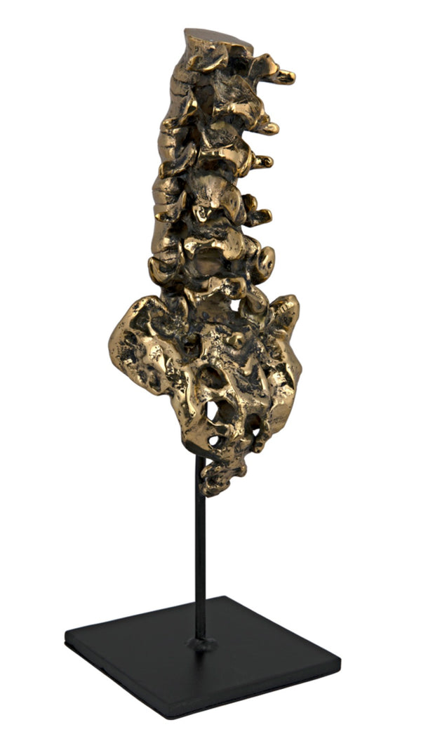 Noir Vertebrae, Sculptural Brass and Iron Accent for Modern Decor - Anatomical Artistry for Any Space AB-157BR