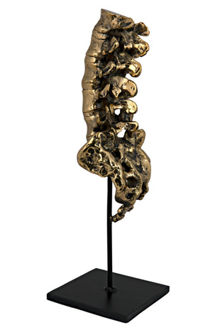 Noir Vertebrae, Sculptural Brass and Iron Accent for Modern Decor - Anatomical Artistry for Any Space AB-157BR