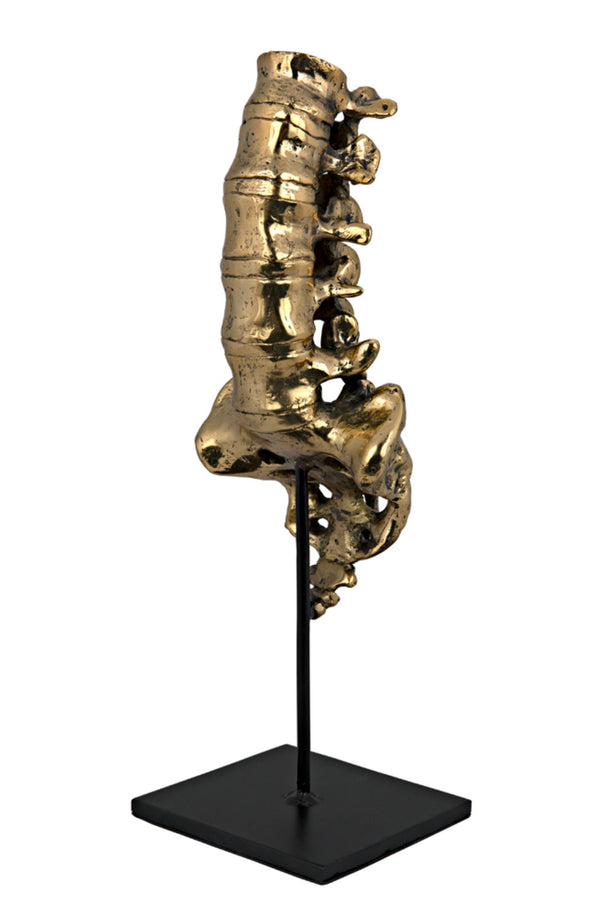 Noir Vertebrae, Sculptural Brass and Iron Accent for Modern Decor - Anatomical Artistry for Any Space AB-157BR