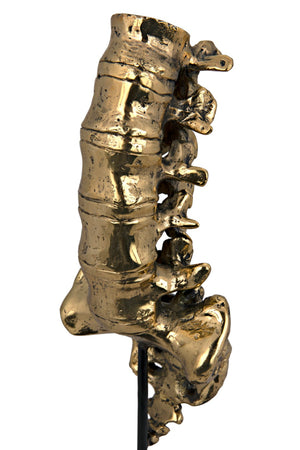 Noir Vertebrae, Sculptural Brass and Iron Accent for Modern Decor - Anatomical Artistry for Any Space AB-157BR