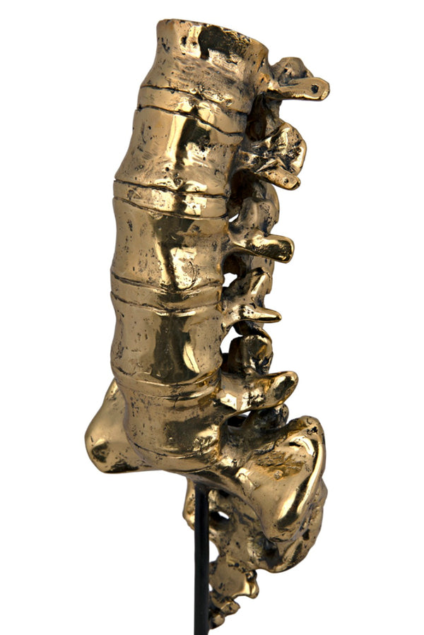 Noir Vertebrae, Sculptural Brass and Iron Accent for Modern Decor - Anatomical Artistry for Any Space AB-157BR