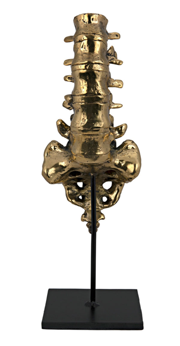 Noir Vertebrae, Sculptural Brass and Iron Accent for Modern Decor - Anatomical Artistry for Any Space AB-157BR