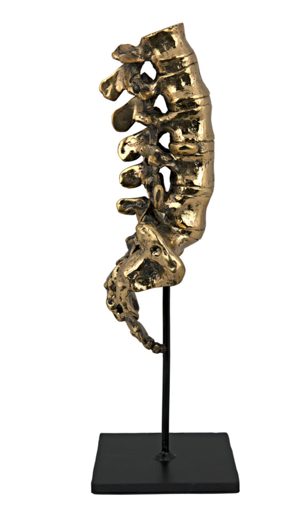 Noir Vertebrae, Sculptural Brass and Iron Accent for Modern Decor - Anatomical Artistry for Any Space AB-157BR