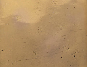 Noir Ripley, Striking Antique Brass Bird-of-Prey Sculpture on Cube Base for Modern Decor Accents AB-292BR