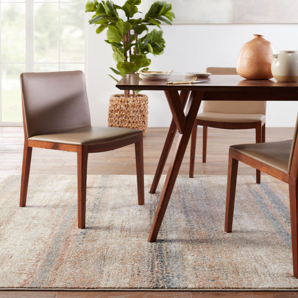 Jaipur Living Vibe by Jaipur Living Devlin Abstract Polypropylene Rug Vintage Inspired Low Pile RUG151313