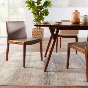Jaipur Living Vibe by Jaipur Living Devlin Abstract Polypropylene Rug Vintage Soft Low Pile RUG151314