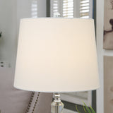 Brentworth Crystal Table Lamp ABS1424BNSNG Evolution by Crestview Collection