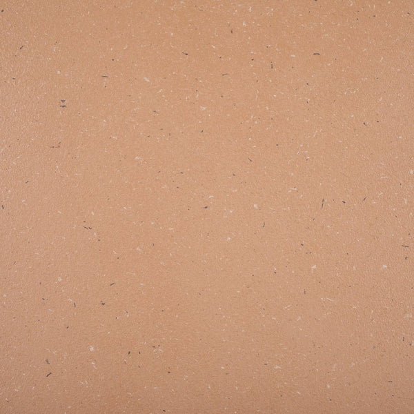 Safavieh Oaklyn Modern Accent Table – Stylish Pedestal Design With Textured Finish For Any Room Decor Terracotta Magnesium Oxide Acc2803c