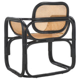 Safavieh Nadie Rattan Accent Chair Black/Natural ACH1012B