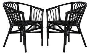 Safavieh ADRIANA RATTAN ACCENT CHAIR - Chic Modern Design with Sculptural Silhouette for Stylish Interiors Black ACH6505A-SET2