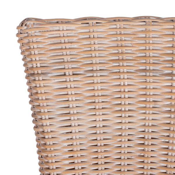 Safavieh ALLEN Accent Chair Set of 2 - Natural Whitewash Rattan for Stylish Living Room & Cozy Spaces ACH6506A-SET2