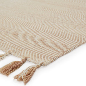 Jaipur Living Jaipur Living Handwoven Wool Flatweave Rug Labyrinth Geometric Bohemian Fringe Accent 5' x 8' RUG138383