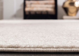 Safavieh Adirondack Power-Loomed Transitional Floral Rug Ivory Silver Ornate Accent ADR109C-240