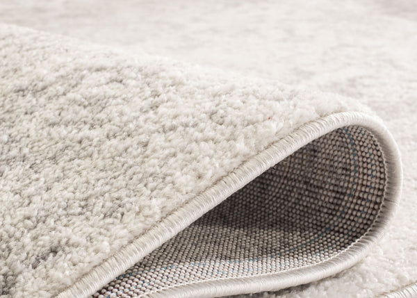 Safavieh Adirondack Power-Loomed Transitional Floral Rug Ivory Silver Ornate Accent ADR109C-240