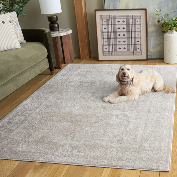 Safavieh Adirondack Neutral Beige Taupe Turkish Area Rug — Low-Profile, Durable Power-Loomed Design For Living Rooms 9'-0" x 12'-0" ADR109E-9