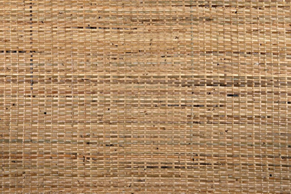 Noir Lichtenstein Chair - Charcoal Black Occasional Seat with Rattan Back & Cotton Cushion for Modern Spaces AE-215CHB