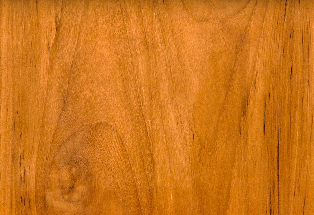 Noir Ungaro Teak Chair - Handcrafted Artisanal Design with Plush Black Cushions for Modern Spaces AE-219T