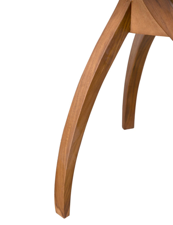 Noir Vikram Teak Side Table - Modern Elegance with Versatile Style for Living Rooms, Bedrooms & Offices AE-348T