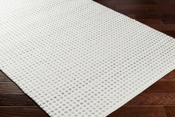 Ariel AIL-2300 9' x 12' Handmade Rug AIL2300-912  White, Light Gray, Rust Surya