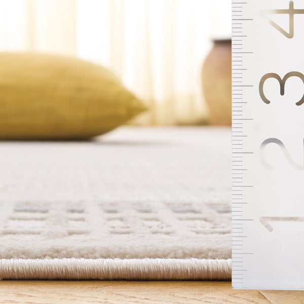 Safavieh Alba Ivory Grey 5'3" X 7'6" Rug – Low-Profile 1/2" Pile, Power-Loomed Turkey, Durable Polyester-Polypropylene Blend ALB100A-5