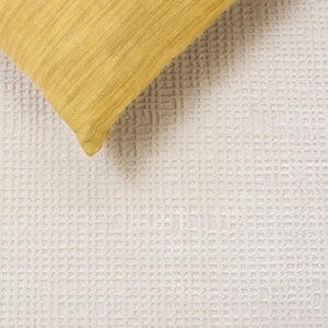 Safavieh Alba Ivory Grey 5'3" X 7'6" Rug – Low-Profile 1/2" Pile, Power-Loomed Turkey, Durable Polyester-Polypropylene Blend ALB100A-5