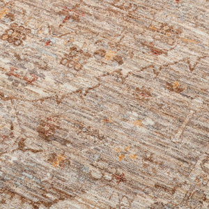 Amer Rugs Albany Vintage Power-loom Area Rug – Timeless Design, Durable Craftsmanship For Any Space Beige Polyester Alb32606