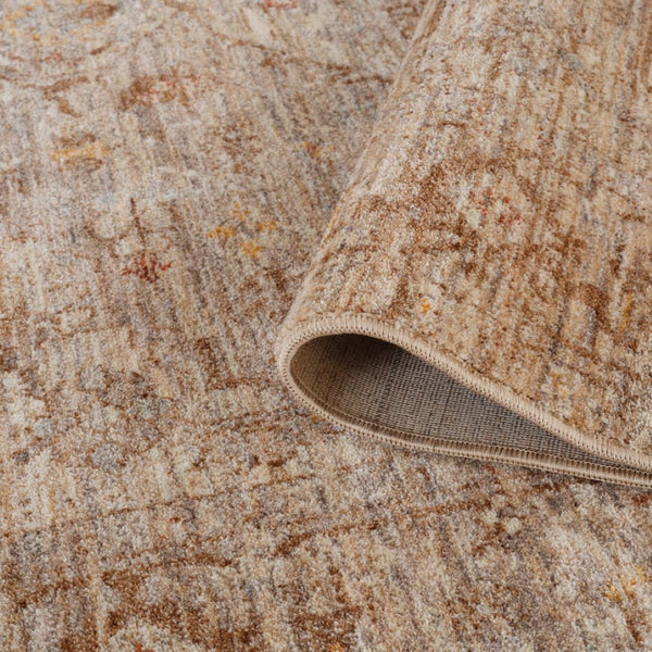 Amer Rugs Albany Vintage Power-loom Area Rug – Timeless Design, Durable Craftsmanship For Any Space Beige Polyester Alb32606