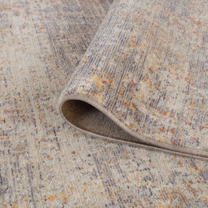 Amer Rugs Albany Vintage Power-loom Area Rug – Timeless Design, Durable Craftsmanship For Any Space Gray Polyester Alb62606