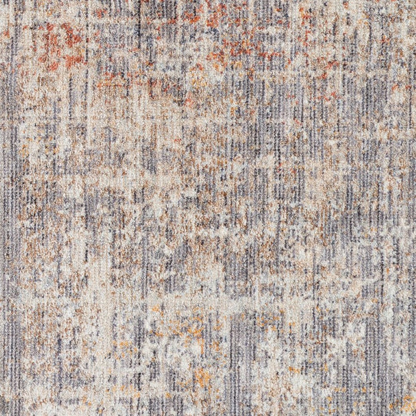 Amer Rugs Albany Vintage Power-loom Area Rug – Timeless Design, Durable Craftsmanship For Any Space Gray Polyester Alb62606