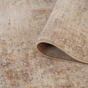 Amer Rugs Albany Vintage Power-loom Area Rug – Timeless Design, Durable Craftsmanship For Any Space Beige Polyester Alb73656