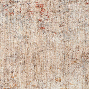 Amer Rugs Albany Vintage Power-loom Area Rug – Timeless Design, Durable Craftsmanship For Any Space Beige Polyester Alb73656