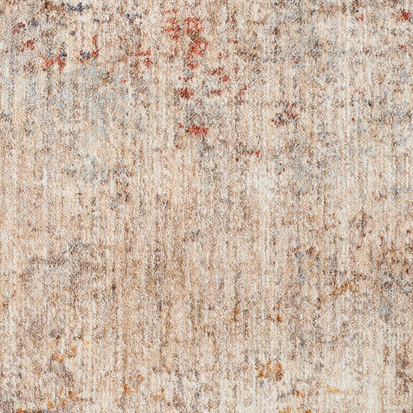 Amer Rugs Albany Vintage Power-loom Area Rug – Timeless Design, Durable Craftsmanship For Any Space Beige Polyester Alb73656
