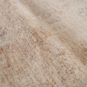 Amer Rugs Albany Vintage Power-loom Area Rug – Timeless Design, Durable Craftsmanship For Any Space Beige Polyester Alb73656