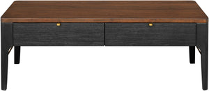 Anello ALLO-004 17"H x 48"W x 24"D Coffee Table ALLO004-174824  Top: Brown; Base: Black, Metallic - Brass Surya