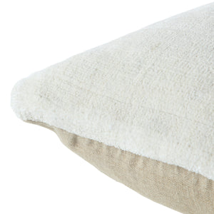 Jaipur Living Jaipur Living Allura Hand Loomed Viscose Pillow Cover with Washed Linen Back Ivory 20" Square PLC102618